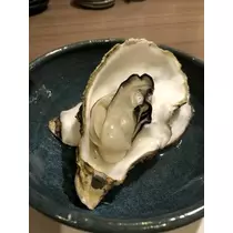 長瀬 純恋