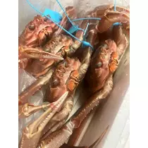 花音