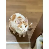 寒河江 春紀
