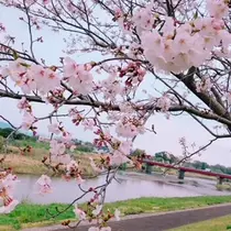 あい