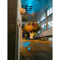 はづき