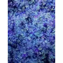 成海 まお