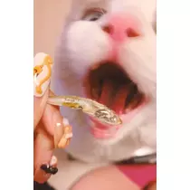 あこ