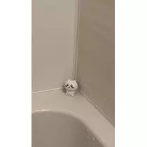 さん