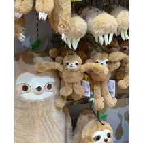 緑 四葉