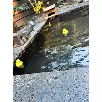山田 華蓮