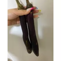 酔超丸 さな