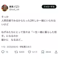 麗日 ひな