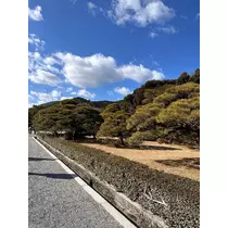 神崎 蘭