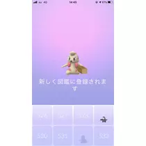 あみ