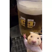 七星 夏純
