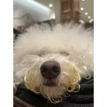 はる
