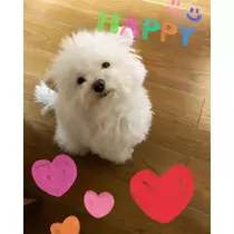 夏樹 あや