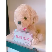さくら