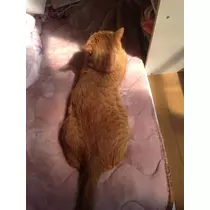 ゆあ