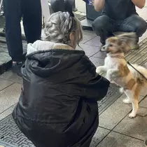 ちゃお