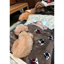 あいりちゃん