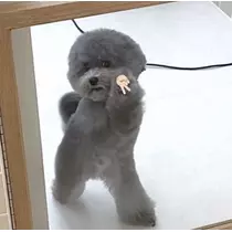 えり