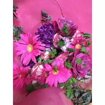 白石 愛莉