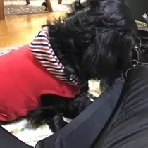 りえ