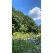 ひろみ