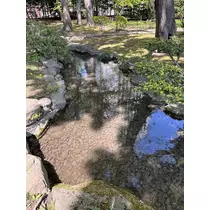 神崎 蘭