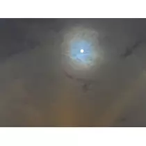 七星 夏純