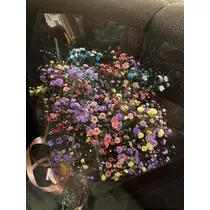白石 愛莉