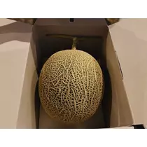 サキ