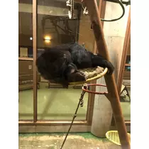 長瀬 純恋