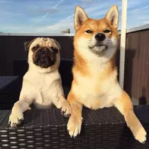 ゆうか