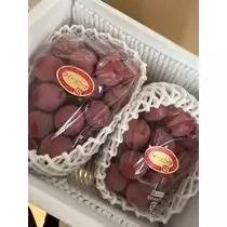 桐島 りゅう