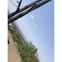 あやの