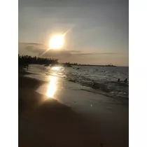 ミユ