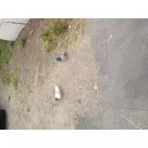 蓮見 リア