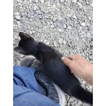 エミ （スタッフ）