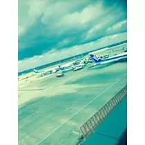ゆかり