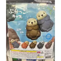 緑 四葉