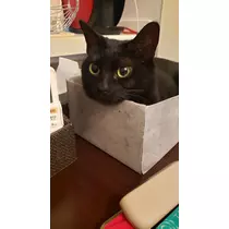 エミ （スタッフ）