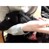 りえ