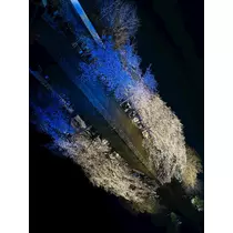 諸星 海