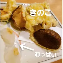 紫音