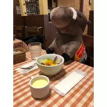 ハルカ