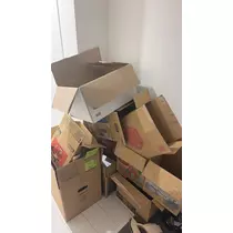 マコト