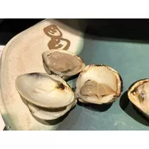 長瀬 純恋