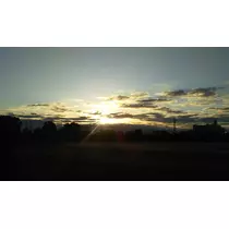 紫音
