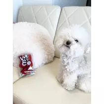 夏樹 あや