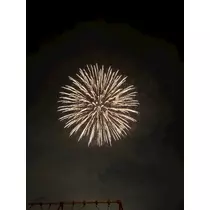 ミイ