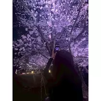 のぞみ