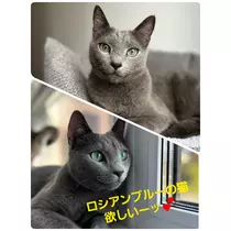 美穂
